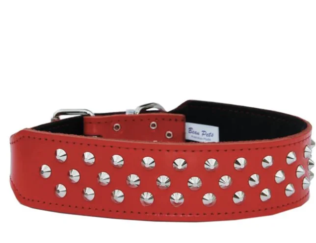 - Pet vitamin complex nutrition tabletsStaffy/BullTerrier Studded Collar - Red (50cm)