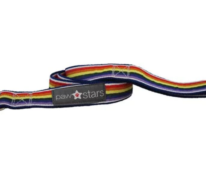 - Car dog seat beltPaw Stars Rainbow Ribbon Leash Small Clip