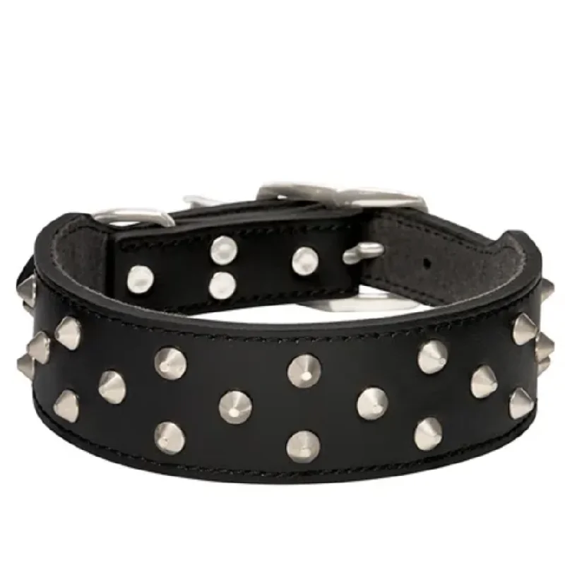 - Pet monitor with cameraStaffy/BullTerrier Studded Collar - Black (50cm)