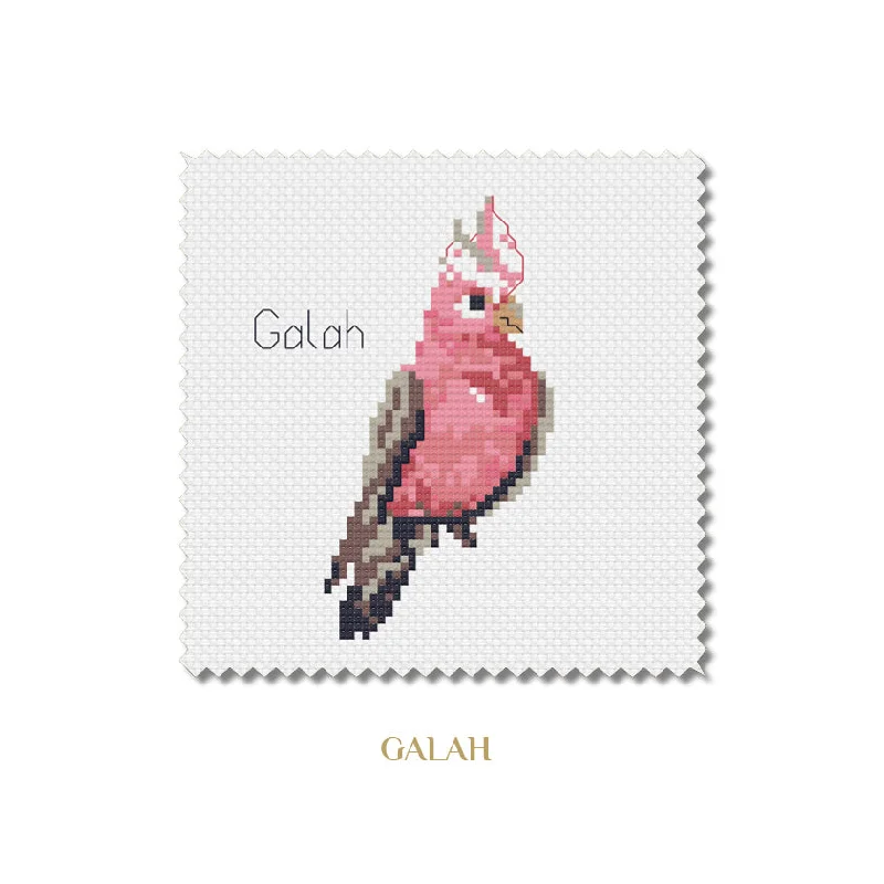  -Anti-slip claw protection raincoat FOR dogsAnimal Magic Cross Stitch Kit - Galah