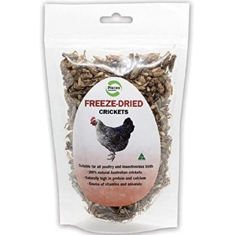 - Summer pet ice matPisces Freeze Dried Crickets