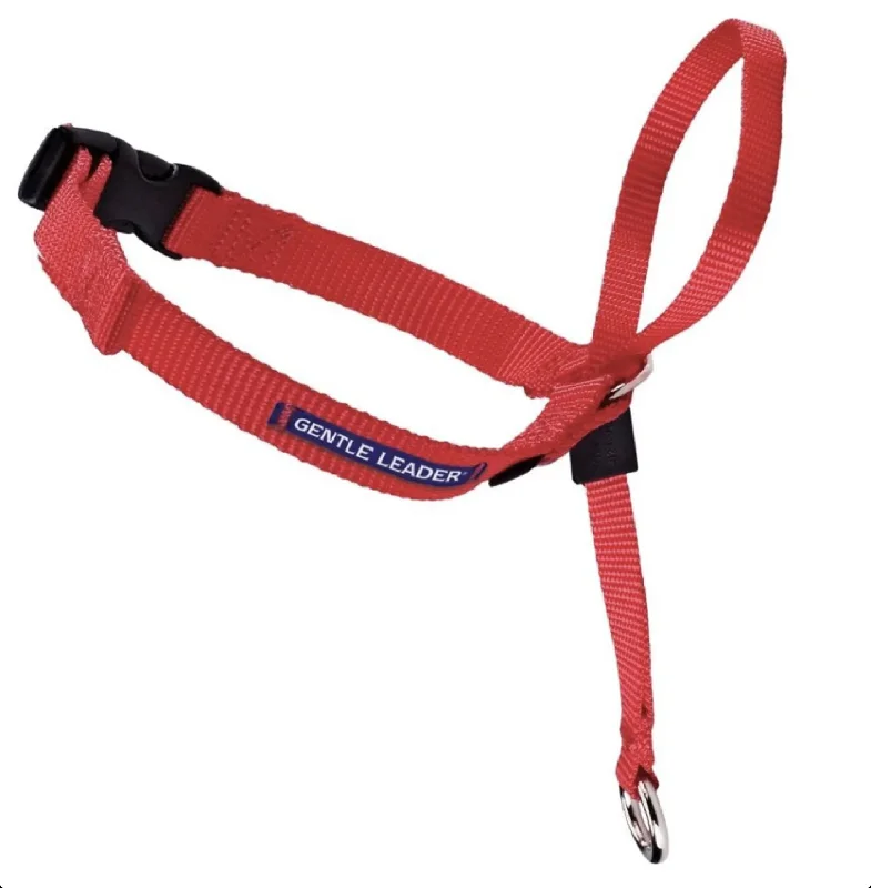 - Custom pet birthday cakeGentle Leader Headcollar - Large - Red