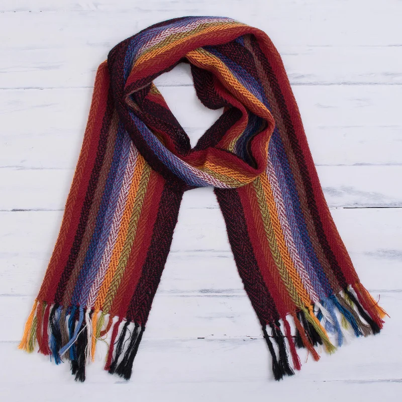 - Remote interactive pet feederAndean Rainbow Rainbow 100% Alpaca Striped Scarf from Peru