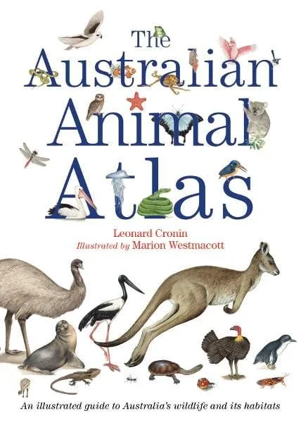 - Postoperative pet anti-licking Elizabethan collarThe Australian Animal Atlas