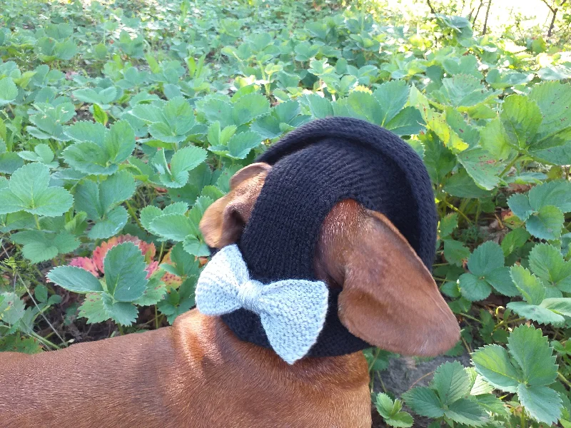 Pet sun protection clothesSummer knitted Panama for a dog black with a gray bow, panama for dachshund