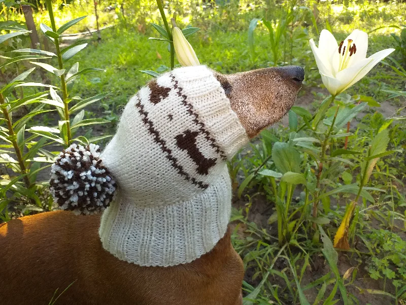 Pet raincoatClothing for dog hat with bones