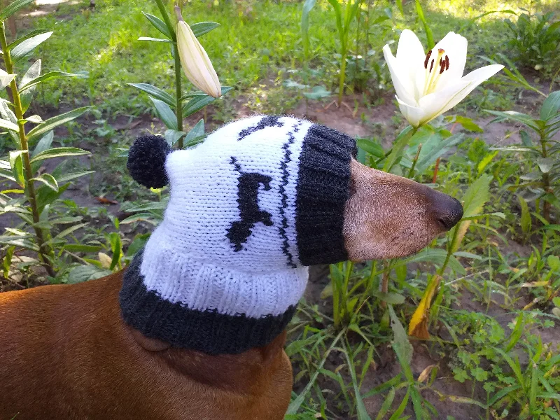 Pet winter warm clothesHat for dachshund with dogs, knitted hat for dogs with dogs