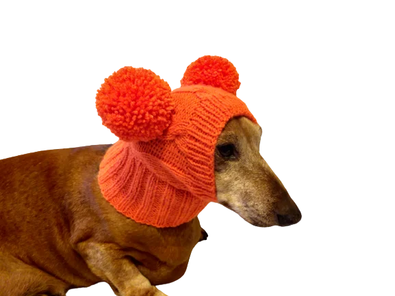 Focus on health and safety:Bright orange knitted hat for dachshund or small dogs with two pom poms, dog clothes hat with two pom poms