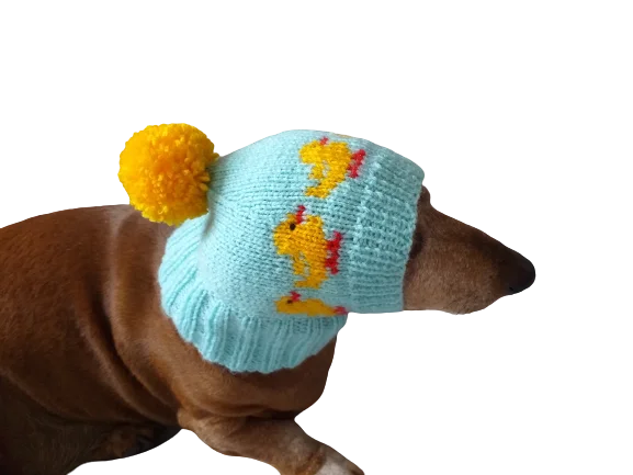 Small dog clothesDucks knitted hat for dogs, clothes for dogs with ducks