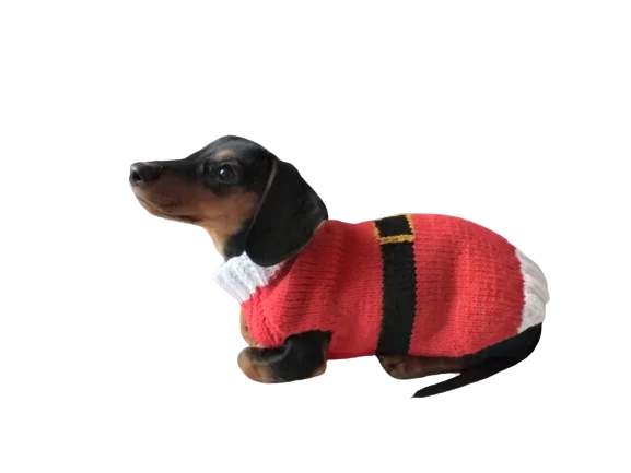 Pet Halloween clothesChristmas santa sweater for dogs, santa clothes for dog, santa sweater for dog, christmas for dogs, christmas santa sweater for dachshund