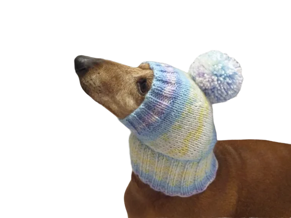 Pet rehabilitation recovery clothes (such as post-operative clothes)Knitted hat with pompom for dog, hat for dachshund