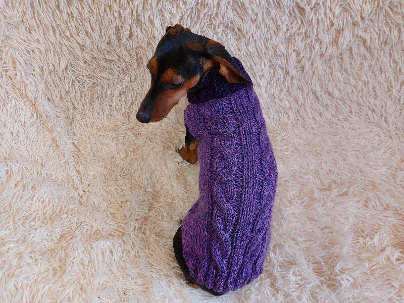 Pet holiday dress-up clothesWarm knitted jumper for small dogs,dachshund clothes knitted sweater, knitted wool sweater for dachshund or small dog