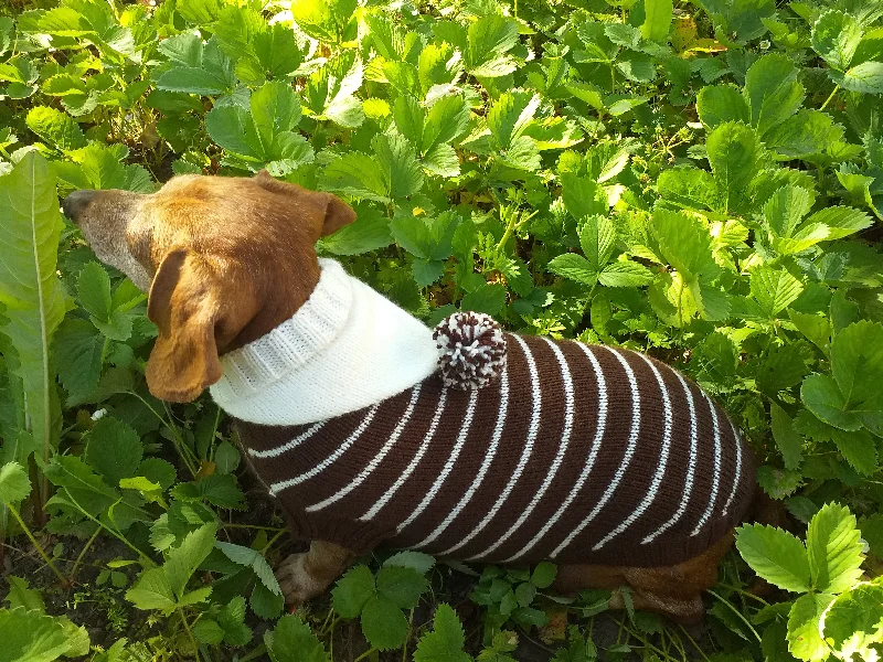 Pet anti-flea collarBrown Striped Hoodies for Dogs