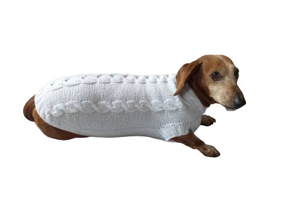 Dog clothesDachshund Clothing: White Party Sweater, White Dachshund or Small Dog Sweater