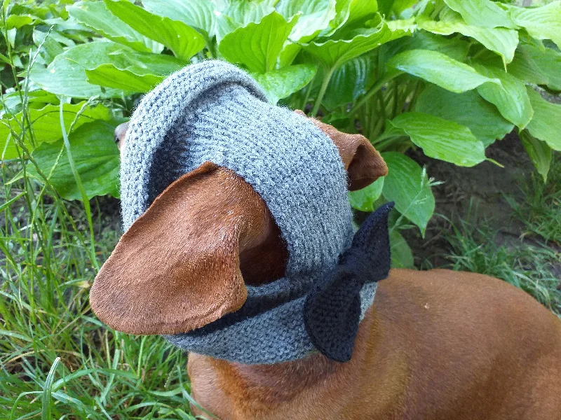 Classification by function or use:Summer hat Panama for the dog gray with black bow, summer clothes for pets